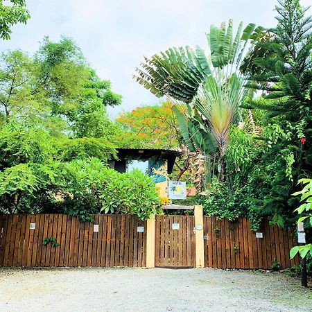 Hotel Tropical Sands โดมินิกัล ภายนอก รูปภาพ